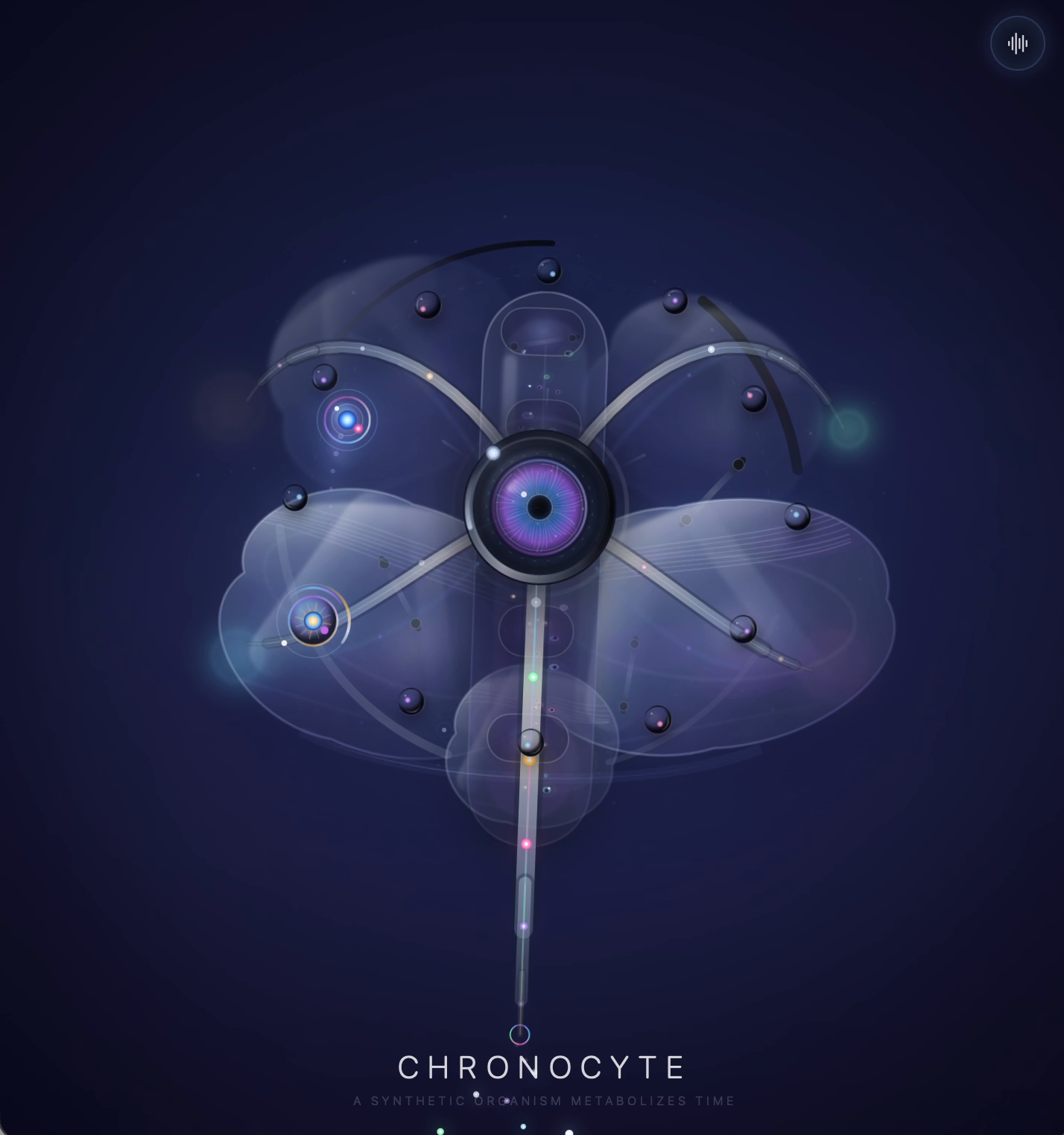 Chronocyte organism and internal structures
